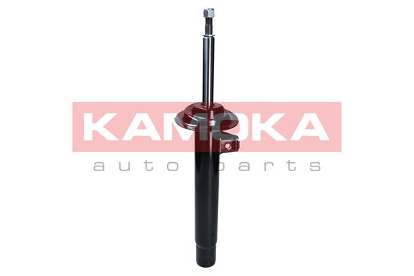 Shock Absorber KAMOKA 2000382 for BMW AL53451052 - alvadi.md