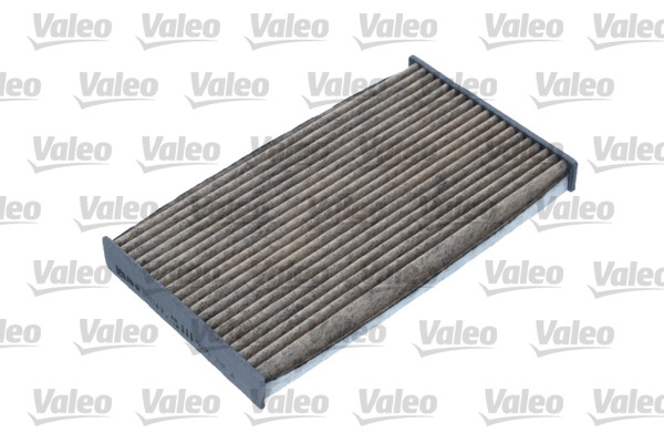 Filter, interior air VALEO 701049 for Nissan AL76322654 - alvadi.md