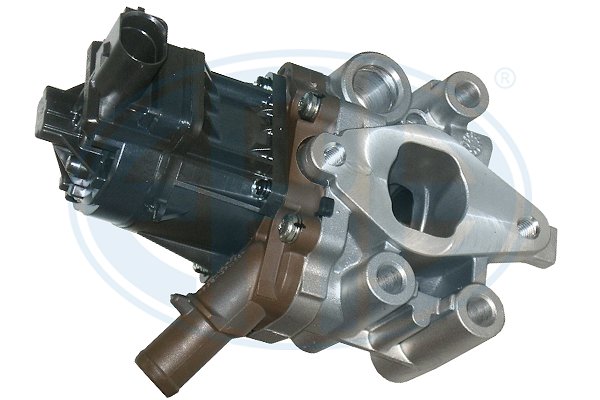 EGR Valve ERA 555191 for Fiat AL39911685 - alvadi.com
