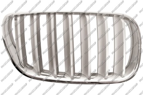 Calandre Chromée Avant Pour BMW X3 E83 (2006-2010) Côté Conducteur