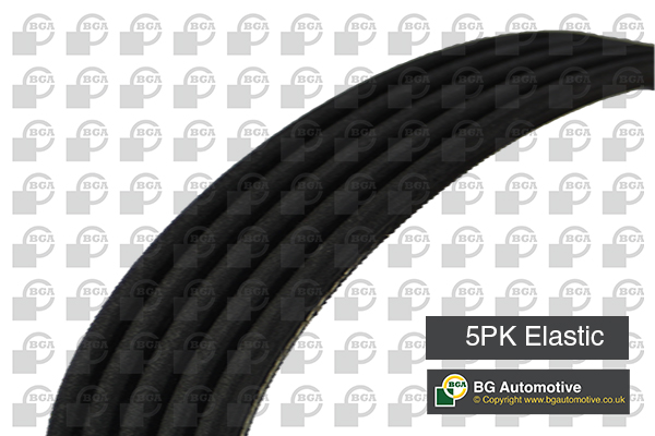V-Ribbed Belt BGA 5PK695E for Ford, Mazda - alvadi.md