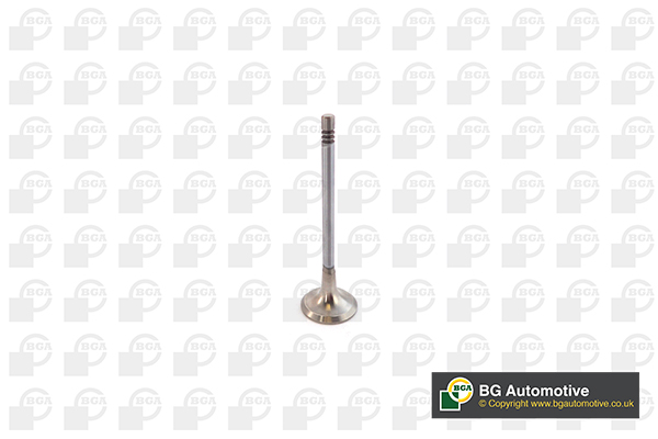 Cylinder Head AMC 908497 for Citroen, DS, Ford, Peugeot AL51531303 ...