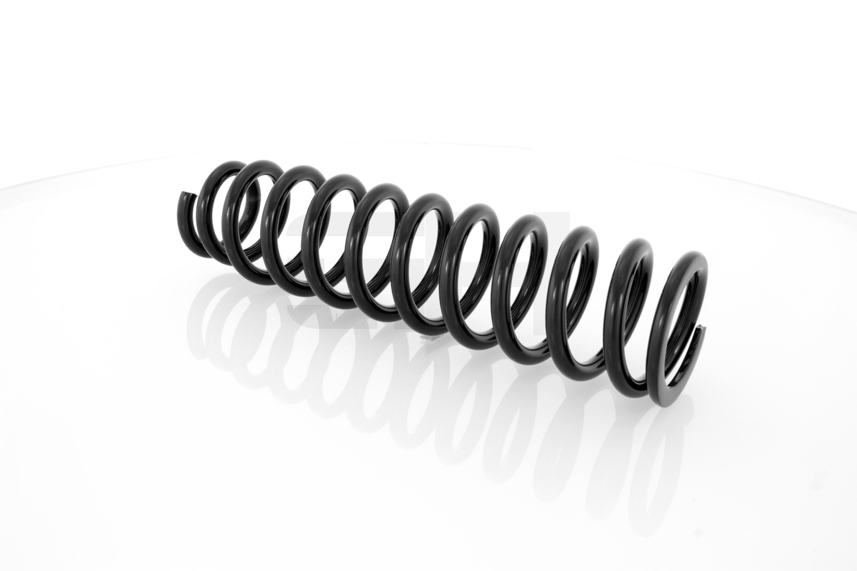 Suspension Spring GH GH-202605 for Honda AL82728176 - alvadi.md