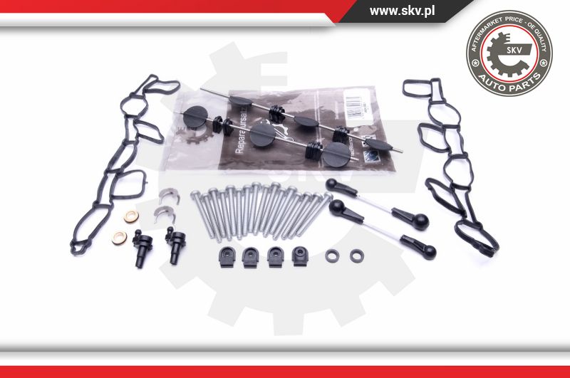 Intake Manifold Swirl Flap Repair Kit 059198212 for Audi / VW - China  059198212, Intake Manifold Swirl Flap Repair Kit