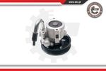 Shaft Seal, power steering pump